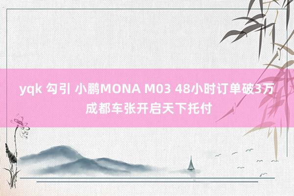 yqk 勾引 小鹏MONA M03 48小时订单破3万 成都车张开启天下托付