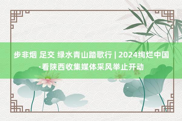 步非烟 足交 绿水青山踏歌行 | 2024绚烂中国·看陕西收集媒体采风举止开动