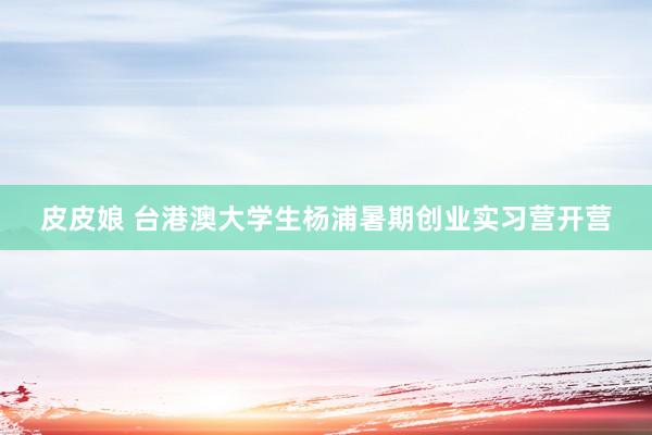 皮皮娘 台港澳大学生杨浦暑期创业实习营开营