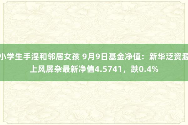 小学生手淫和邻居女孩 9月9日基金净值：新华泛资源上风羼杂最新净值4.5741，跌0.4%