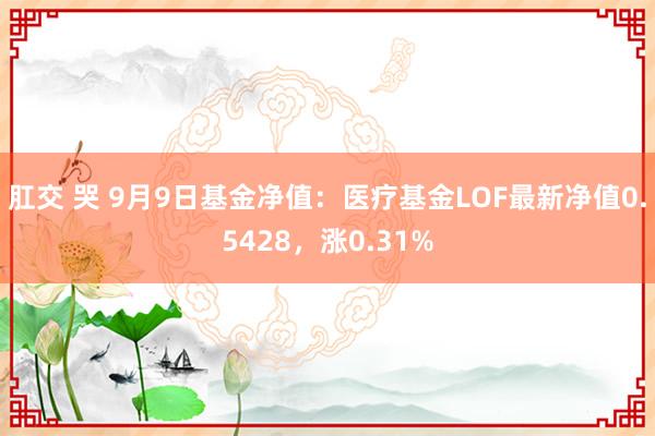 肛交 哭 9月9日基金净值：医疗基金LOF最新净值0.5428，涨0.31%