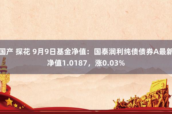 国产 探花 9月9日基金净值：国泰润利纯债债券A最新净值1.0187，涨0.03%