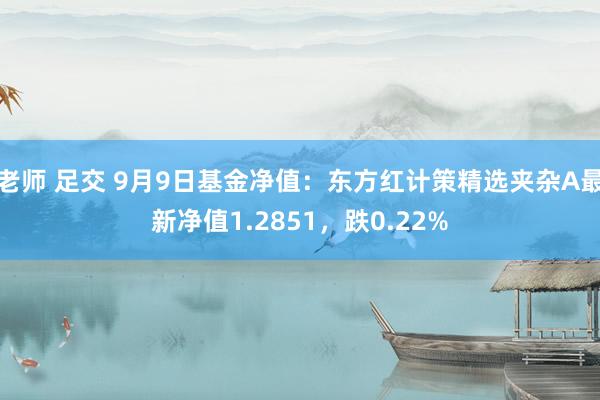 老师 足交 9月9日基金净值：东方红计策精选夹杂A最新净值1.2851，跌0.22%