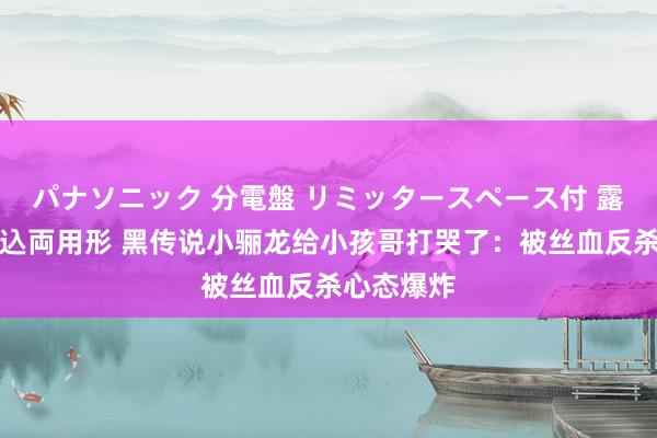 パナソニック 分電盤 リミッタースペース付 露出・半埋込両用形 黑传说小骊龙给小孩哥打哭了：被丝血反杀心态爆炸