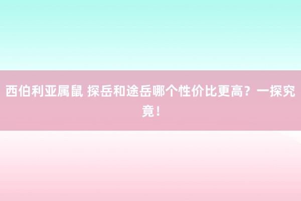 西伯利亚属鼠 探岳和途岳哪个性价比更高？一探究竟！