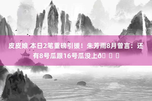 皮皮娘 本日2笔重磅引援！朱芳雨8月曾言：还有8号瓜跟16号瓜没上🍉