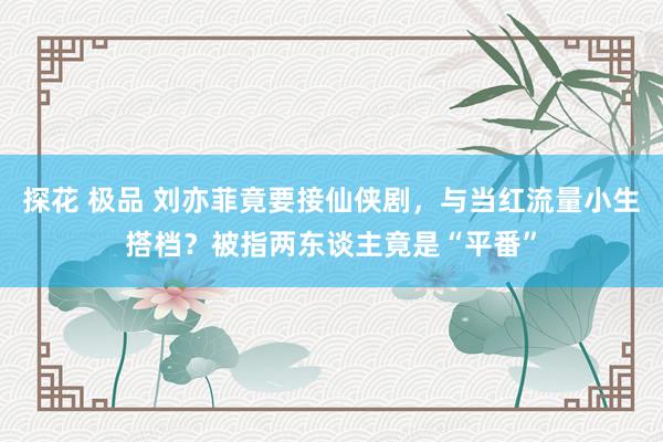 探花 极品 刘亦菲竟要接仙侠剧，与当红流量小生搭档？被指两东谈主竟是“平番”