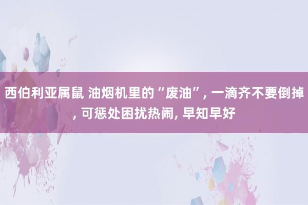 西伯利亚属鼠 油烟机里的“废油”， 一滴齐不要倒掉， 可惩处困扰热闹， 早知早好