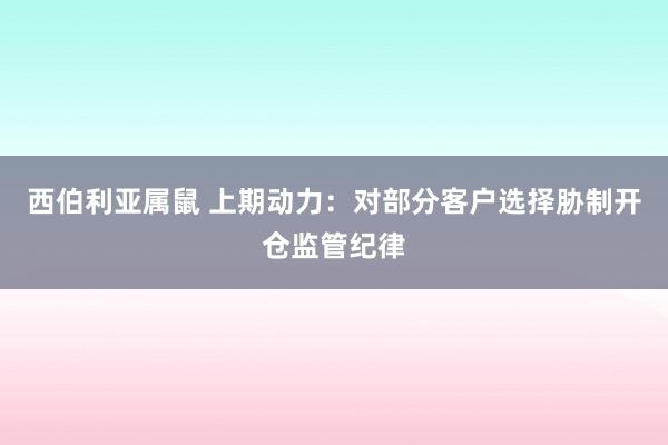 西伯利亚属鼠 上期动力：对部分客户选择胁制开仓监管纪律