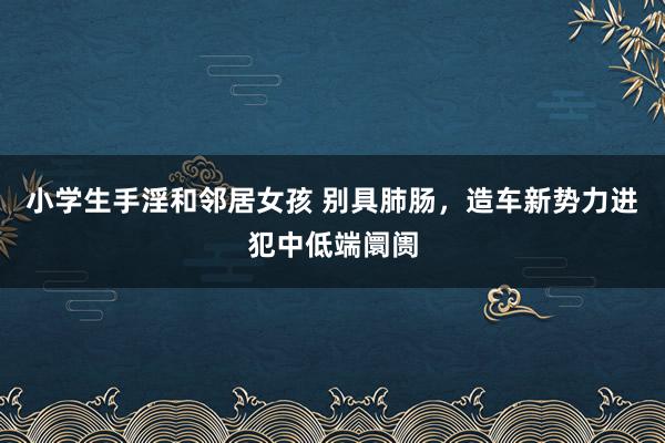 小学生手淫和邻居女孩 别具肺肠，造车新势力进犯中低端阛阓