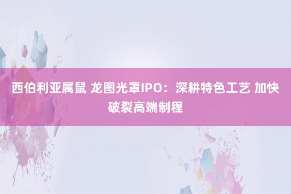 西伯利亚属鼠 龙图光罩IPO：深耕特色工艺 加快破裂高端制程