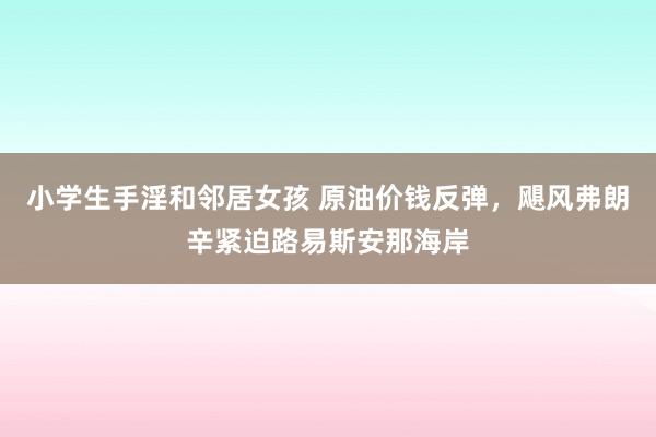 小学生手淫和邻居女孩 原油价钱反弹，飓风弗朗辛紧迫路易斯安那海岸