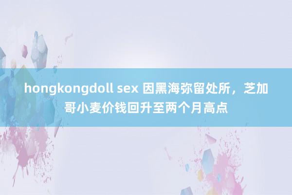 hongkongdoll sex 因黑海弥留处所，芝加哥小麦价钱回升至两个月高点