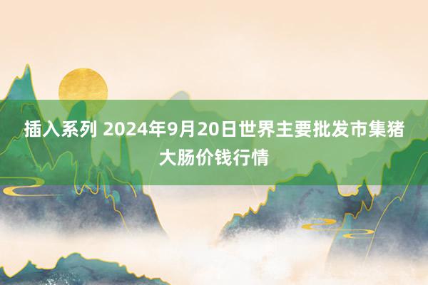 插入系列 2024年9月20日世界主要批发市集猪大肠价钱行情