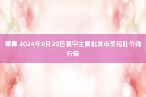 裸舞 2024年9月20日寰宇主要批发市集猪肚价钱行情