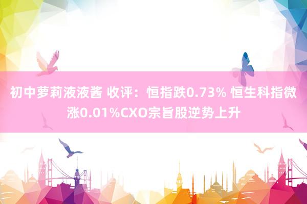 初中萝莉液液酱 收评：恒指跌0.73% 恒生科指微涨0.01%CXO宗旨股逆势上升