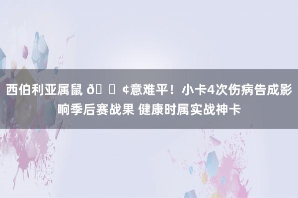 西伯利亚属鼠 😢意难平！小卡4次伤病告成影响季后赛战果 健康时属实战神卡