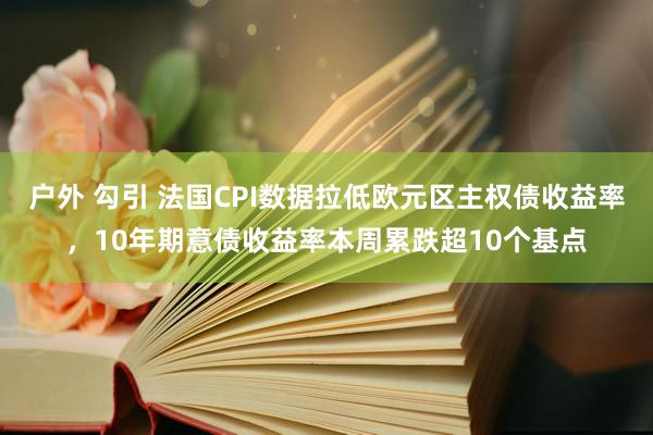 户外 勾引 法国CPI数据拉低欧元区主权债收益率，10年期意债收益率本周累跌超10个基点