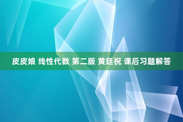 皮皮娘 线性代数 第二版 黄廷祝 课后习题解答