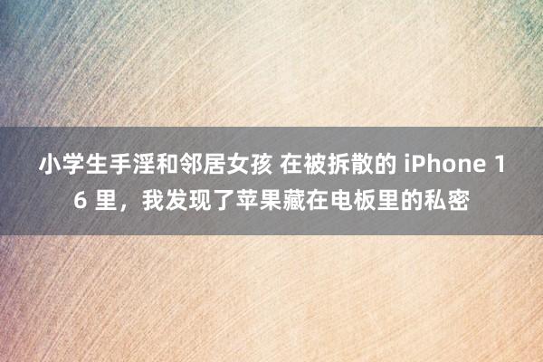 小学生手淫和邻居女孩 在被拆散的 iPhone 16 里，我发现了苹果藏在电板里的私密