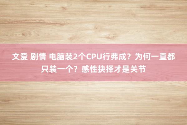 文爱 剧情 电脑装2个CPU行弗成？为何一直都只装一个？感性抉择才是关节