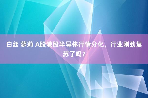 白丝 萝莉 A股港股半导体行情分化，行业刚劲复苏了吗？