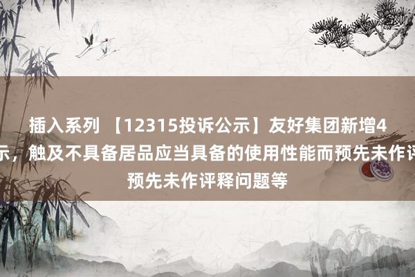 插入系列 【12315投诉公示】友好集团新增4件投诉公示，触及不具备居品应当具备的使用性能而预先未作评释问题等