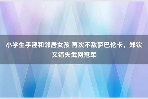 小学生手淫和邻居女孩 再次不敌萨巴伦卡，郑钦文错失武网冠军