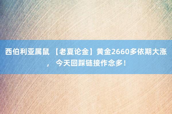 西伯利亚属鼠 【老夏论金】黄金2660多依期大涨， 今天回踩链接作念多！