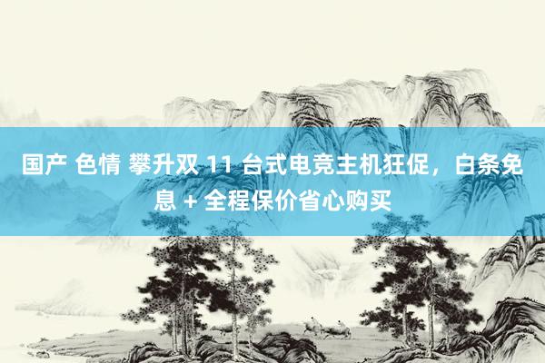 国产 色情 攀升双 11 台式电竞主机狂促，白条免息 + 全程保价省心购买