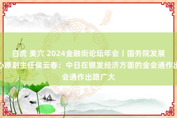 白虎 美穴 2024金融街论坛年会丨国务院发展掂量中心原副主任侯云春：中日在银发经济方面的金会通作出路广大