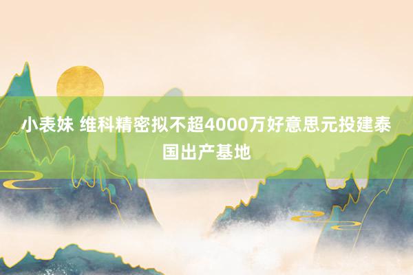 小表妹 维科精密拟不超4000万好意思元投建泰国出产基地