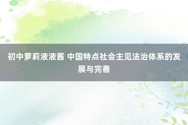 初中萝莉液液酱 中国特点社会主见法治体系的发展与完善