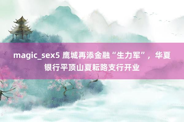 magic_sex5 鹰城再添金融“生力军”，华夏银行平顶山夏耘路支行开业