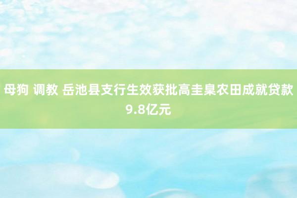 母狗 调教 岳池县支行生效获批高圭臬农田成就贷款9.8亿元