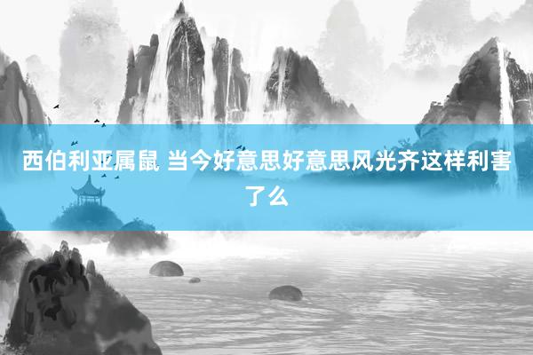 西伯利亚属鼠 当今好意思好意思风光齐这样利害了么