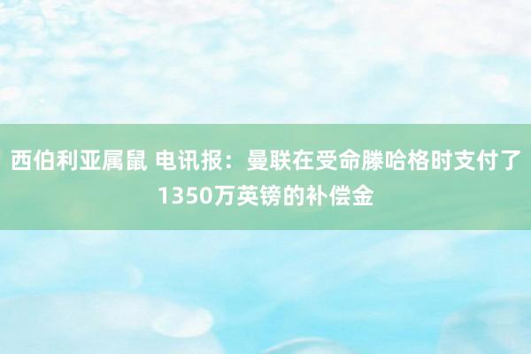 西伯利亚属鼠 电讯报：曼联在受命滕哈格时支付了1350万英镑的补偿金