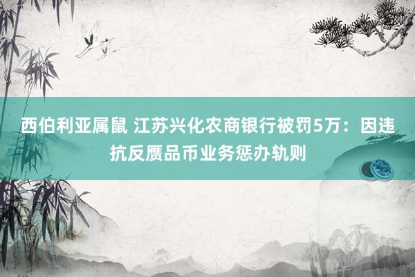 西伯利亚属鼠 江苏兴化农商银行被罚5万：因违抗反赝品币业务惩办轨则