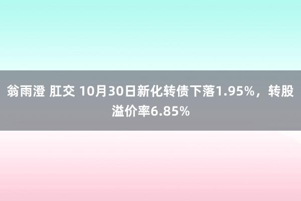 翁雨澄 肛交 10月30日新化转债下落1.95%，转股溢价率6.85%