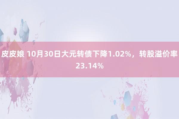 皮皮娘 10月30日大元转债下降1.02%，转股溢价率23.14%