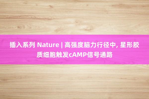 插入系列 Nature | 高强度脑力行径中， 星形胶质细胞触发cAMP信号通路