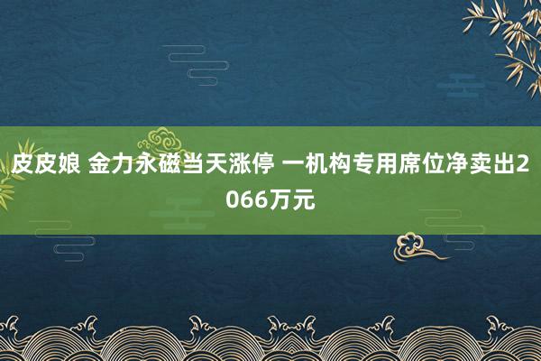 皮皮娘 金力永磁当天涨停 一机构专用席位净卖出2066万元