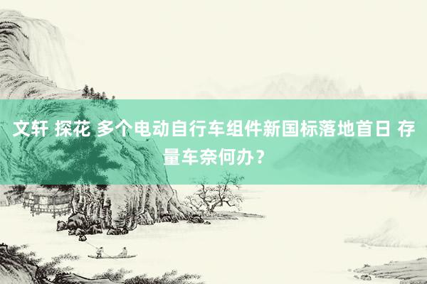 文轩 探花 多个电动自行车组件新国标落地首日 存量车奈何办？