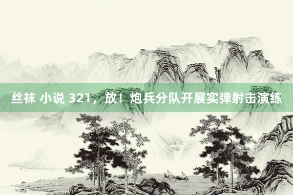 丝袜 小说 321，放！炮兵分队开展实弹射击演练