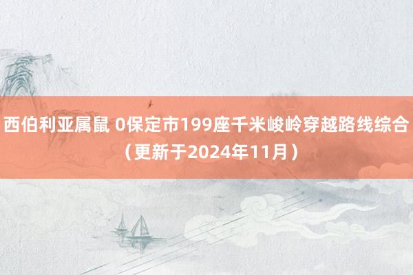 西伯利亚属鼠 0保定市199座千米峻岭穿越路线综合（更新于2024年11月）