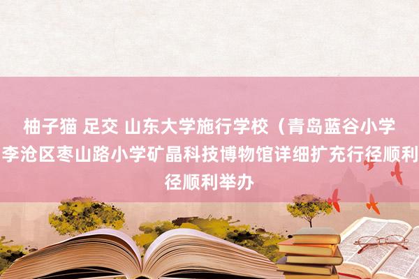 柚子猫 足交 山东大学施行学校（青岛蓝谷小学）和李沧区枣山路小学矿晶科技博物馆详细扩充行径顺利举办