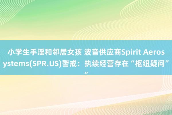 小学生手淫和邻居女孩 波音供应商Spirit Aerosystems(SPR.US)警戒：执续经营存在“枢纽疑问”