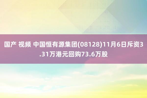 国产 视频 中国恒有源集团(08128)11月6日斥资3.31万港元回购73.6万股