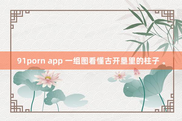 91porn app 一组图看懂古开垦里的柱子 。