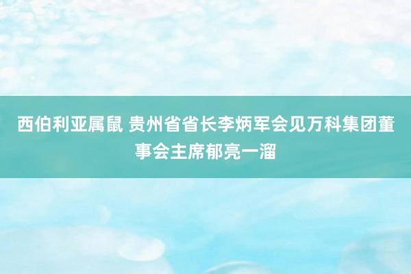 西伯利亚属鼠 贵州省省长李炳军会见万科集团董事会主席郁亮一溜